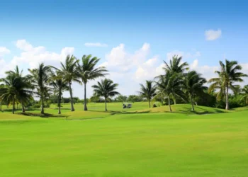 palm trees in a golf course in Mexico. golfing havens