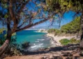 Milli Park, Dilek National Park, Kusadasi, Turkey. Pine trees and sea.