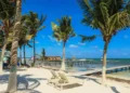 Palm Trees on the Sandy Beach, Belize. new life overseas