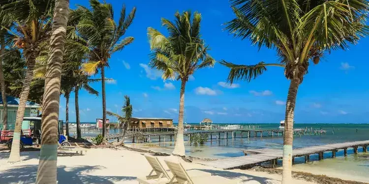 Palm Trees on the Sandy Beach, Belize. new life overseas