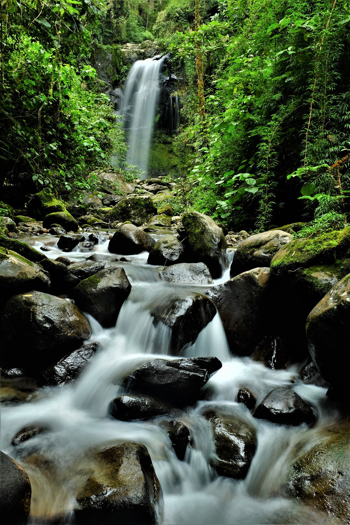 The Lost Waterfalls, Las cascadas perdidas in Boquete