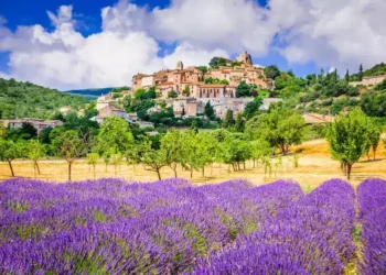 Planted fields in France. europe top haven