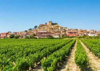 Vineyard with a town at the background in la rioja countryside, spain. harvest season in europe