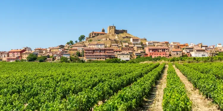 Vineyard with a town at the background in la rioja countryside, spain. harvest season in europe