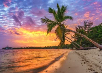 Beautiful sunrise over tropical beach and palm trees in the Dominican Republic. caribbean haven