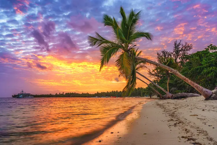 Beautiful sunrise over tropical beach and palm trees in the Dominican Republic. caribbean haven