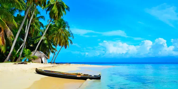 Clear blue water, palm trees in Paradise Island, San Blas, Panama