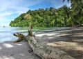 Beach on Isla Parida, Panama