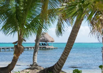 View through the palm trees. retire in Belize