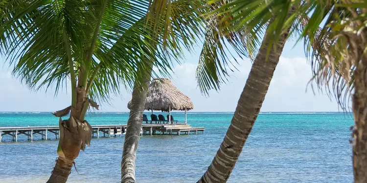 View through the palm trees. retire in Belize