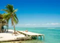 A Caribbean beach with a pier and palm tree in caye caulker belize