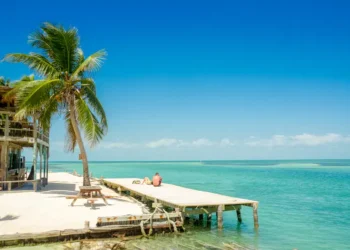 A Caribbean beach with a pier and palm tree in caye caulker belize