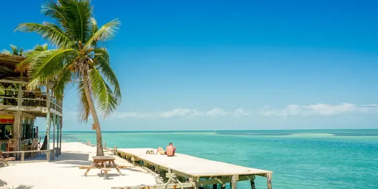 A Caribbean beach with a pier and palm tree in caye caulker belize