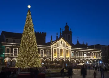 Christmas Tree Illumination in Braga, Portugal