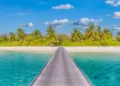 Tranquil landscape. Exotic beach shore, azure sea bay wooden pier bridge into paradise island. Palm trees sunny sand and blue sky.