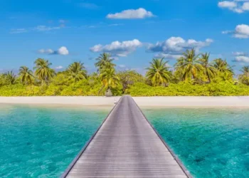 Tranquil landscape. Exotic beach shore, azure sea bay wooden pier bridge into paradise island. Palm trees sunny sand and blue sky.