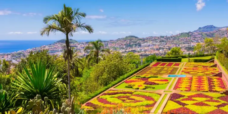 Botanical garden in Funchal, Madeira island, Portugal