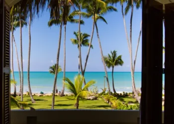 palm trees and view from a beach.