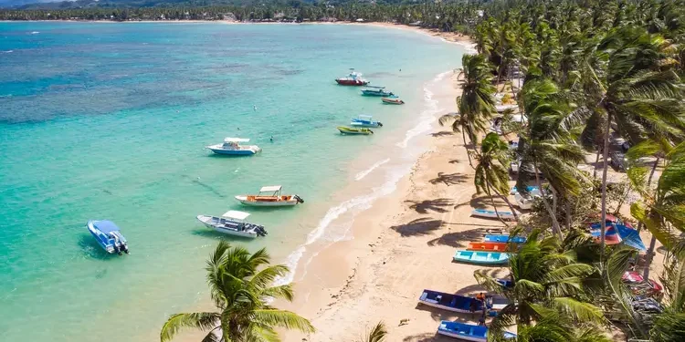 Aerial drone panoramic view of the paradise beach with sandy shore, coral spots, palm trees, color boats and blue water of Atlantic Ocean, Las Terrenas, Samana, Dominican Republic