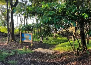 A view of Caminos de Los Islotes, a trail in Panama