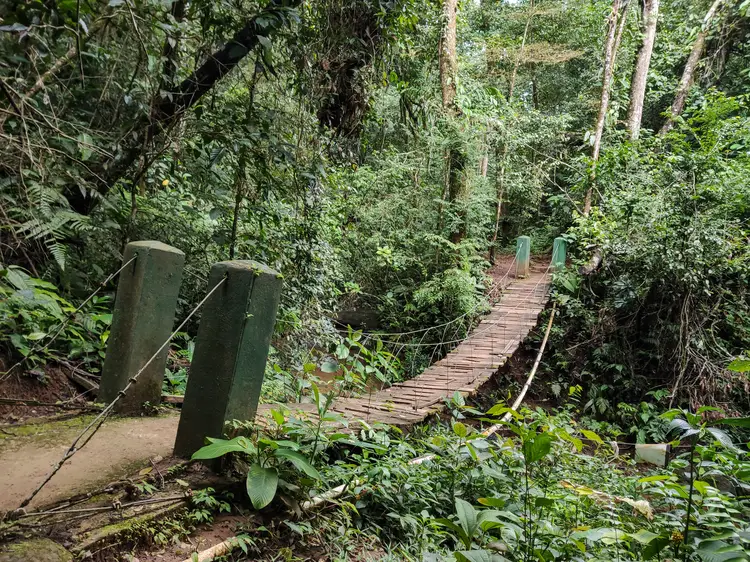 Reserva Forestal El Montuoso in Herrera. chitre