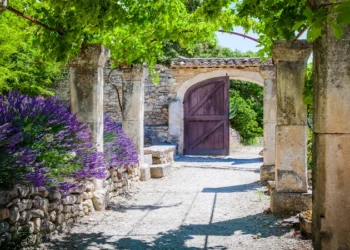 The lavender garden of the old abbey of Abbaye de Saint-Hilaire in Provence, France