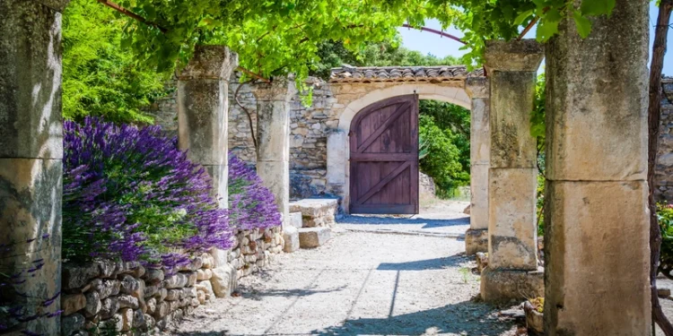 The lavender garden of the old abbey of Abbaye de Saint-Hilaire in Provence, France