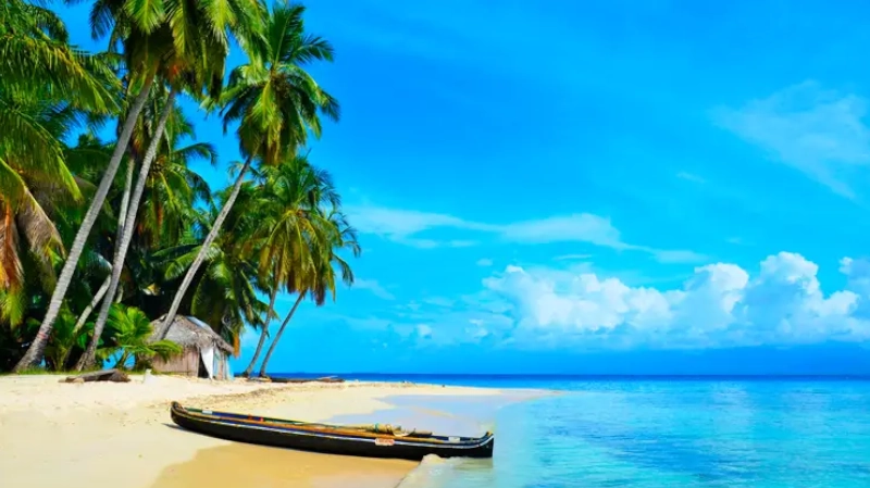 Clear blue water, palm trees in Paradise Island, San Blas, Panama