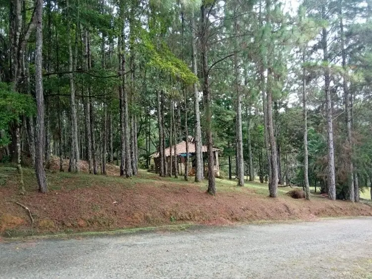 House in a wooden area. General view of Cerro Azul, Panama. cerro azul