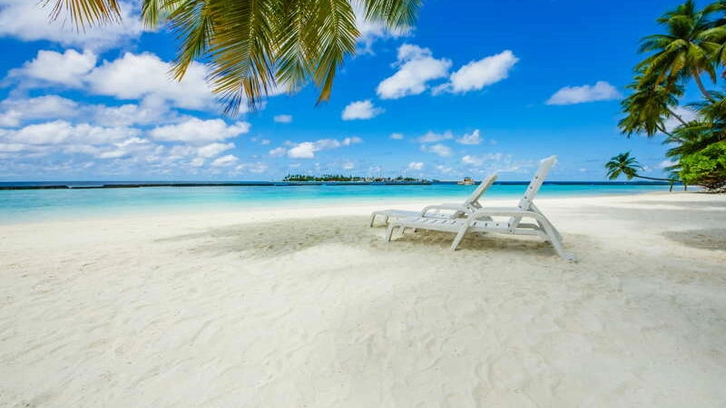 beach chairs on a tropical beach. taxes in panama