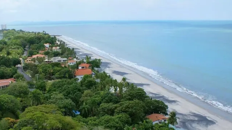 black and white sand coastline with lots of trees in Coronado panama city beaches