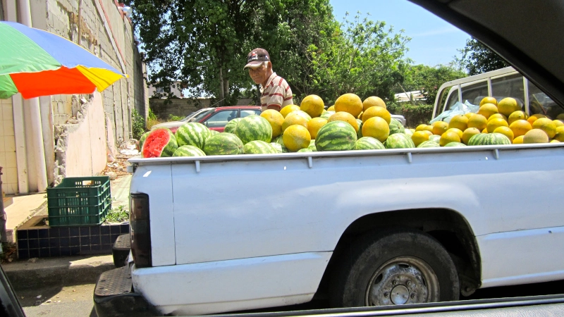 Cost Of Living In Las Tablas, Panama