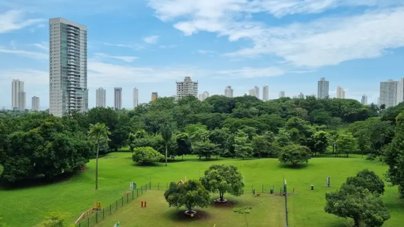 View of the dog park in Parque Omar, Panama City, Panama. san francisco