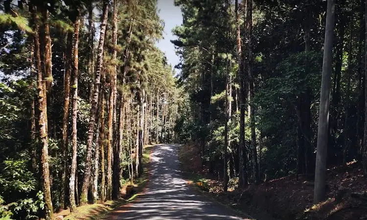 View of a road to Altos de Cerro Azul. cerro azul panama