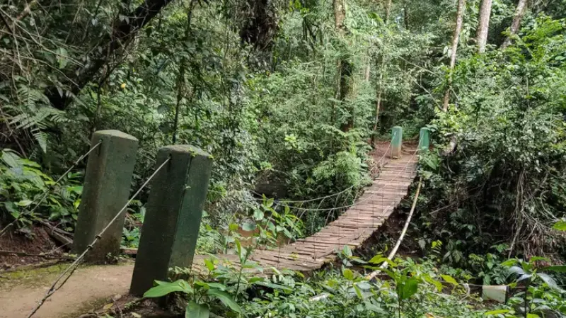 Reserva Forestal El Montuoso in Herrera. chitre