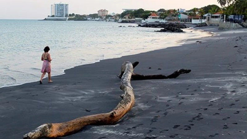 A nice, long walk along the beach