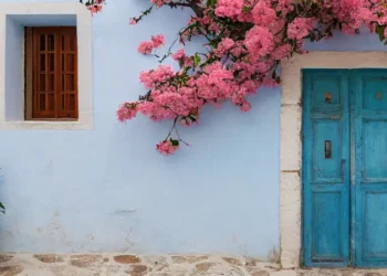 Pink blossom over a blue door.