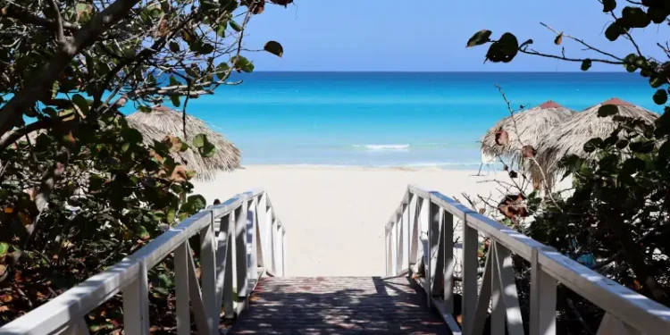 Wooden path to tropical beach with white sand. Picturesque view through green plants to ocean coast, tourist resort on sunny island