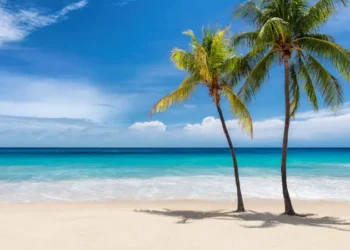 Tropical white sand beach with coco palms and the turquoise sea on Caribbean island.
