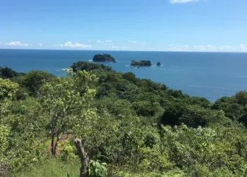 View of Los Islotes, showing lush tropical forest in the foreground and several small rocky islets surrounded by the blue ocean under a clear sky.