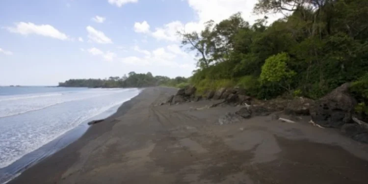 A remote beach with dark sand, gentle waves, and dense green trees lining the shore under a partly cloudy sky.