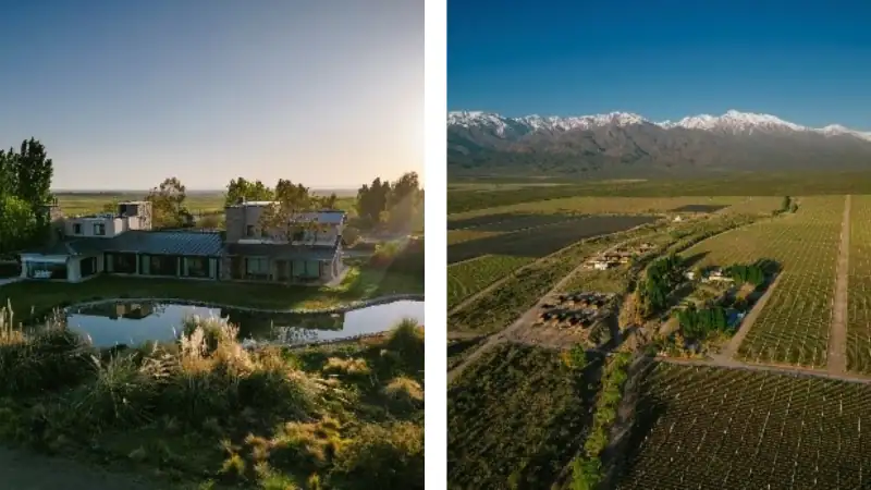 Modern house and pond on a vineyard estate with snow-capped mountains in the background, shown from ground level and aerial views.