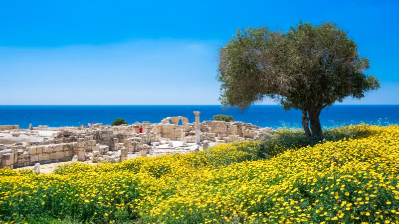 Achilles' House Kourio Basilica at The Sanctuary of Apollo at the Kourion World Heritage Archaeological site near Limassol (Lemesos), Cyprus