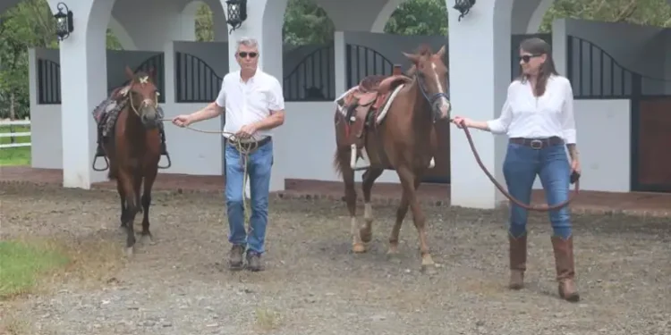 Lief and Kathleen are leading two saddled horses outside a white-arched stable. Both are dressed in white shirts and jeans, walking on a gravel path at an equestrian facility.