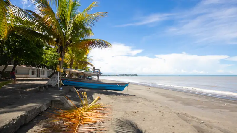 Tropical beach with palm trees in Puerto Armuelles