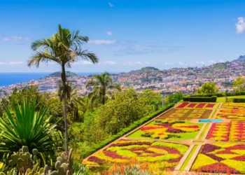 flowerbeds of Funchal’s botanical garden