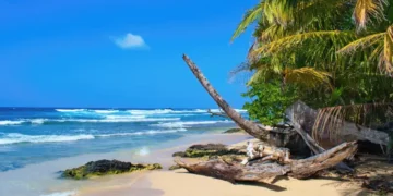 Wizard beach, Bastimentos Island, Bocas del Toro, Panama