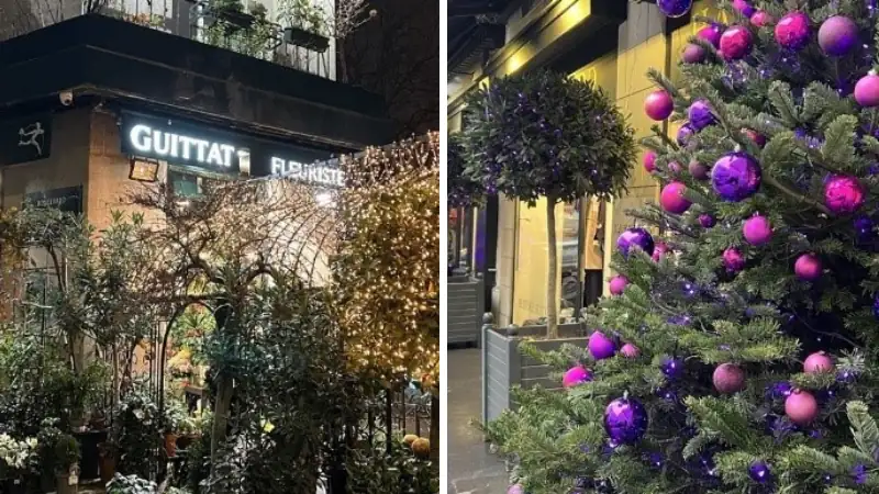 A Paris storefront at night beside a Christmas tree decorated with purple ornaments.