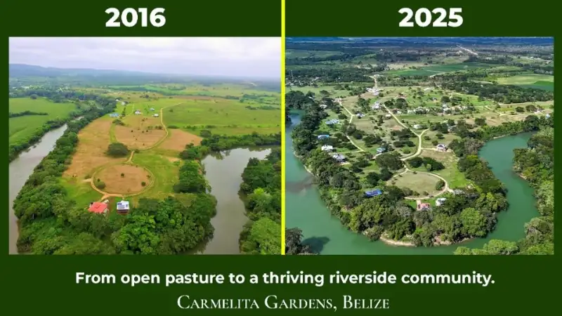 Carmelita gardens comparison between 2016 and 2025