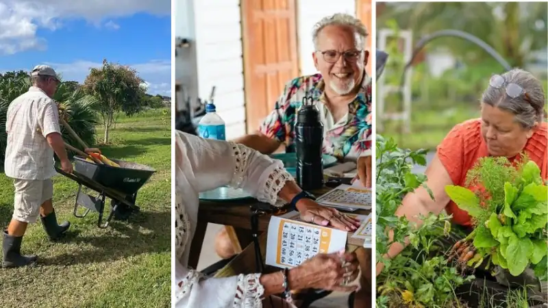 Active lifestyle shown through seniors gardening, socializing over bingo, and harvesting fresh vegetables in a vibrant three-photo collage.
